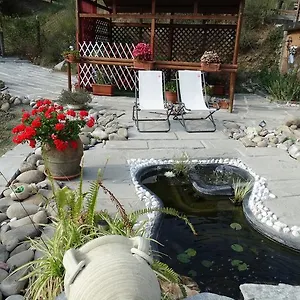 Graziella Vernazza